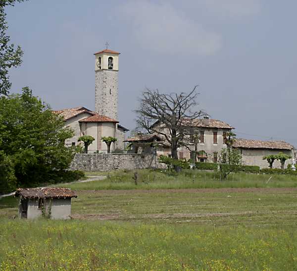 Brunello