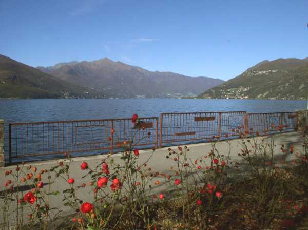 Luino