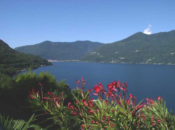 Pino Lago Maggiore